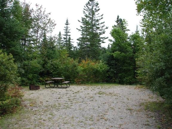 Gravel campsite surrounded by boreal forest