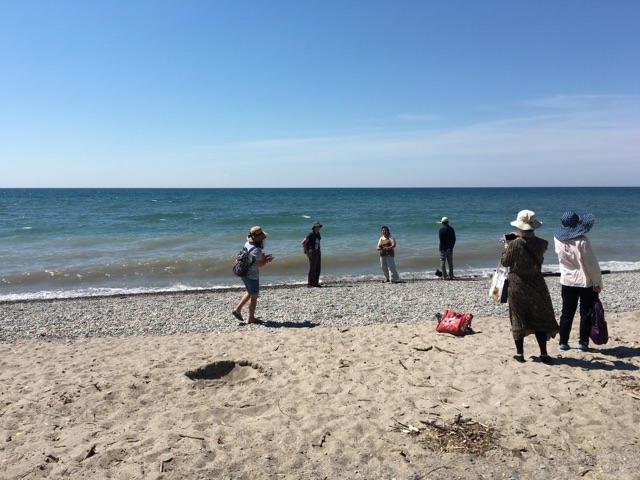 People stand on beach in front of Lake Ontario