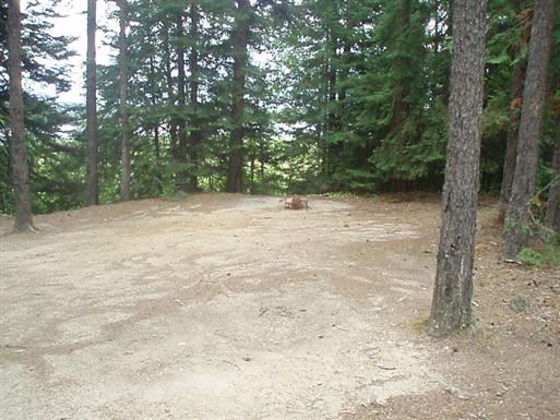 Sandy site with mature conifers between site and French Lake tributary