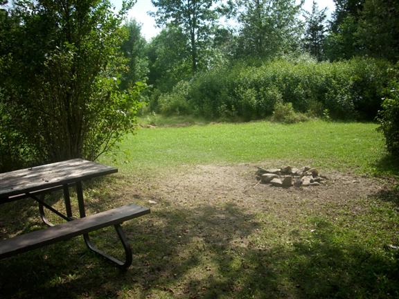 Site herbeux et ensoleillé, avec aménagement pour feu de camp et table de pique-nique.