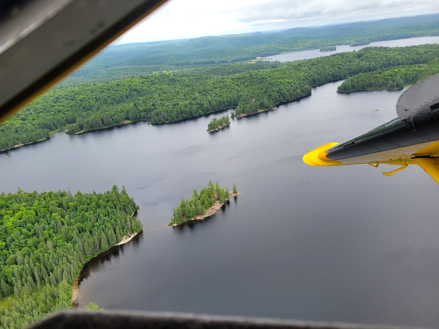 The view from the window of a small plane, overlooking the backcountry of Algonquin: a body of water broken up wit large and small islands, all covered with dense forest.