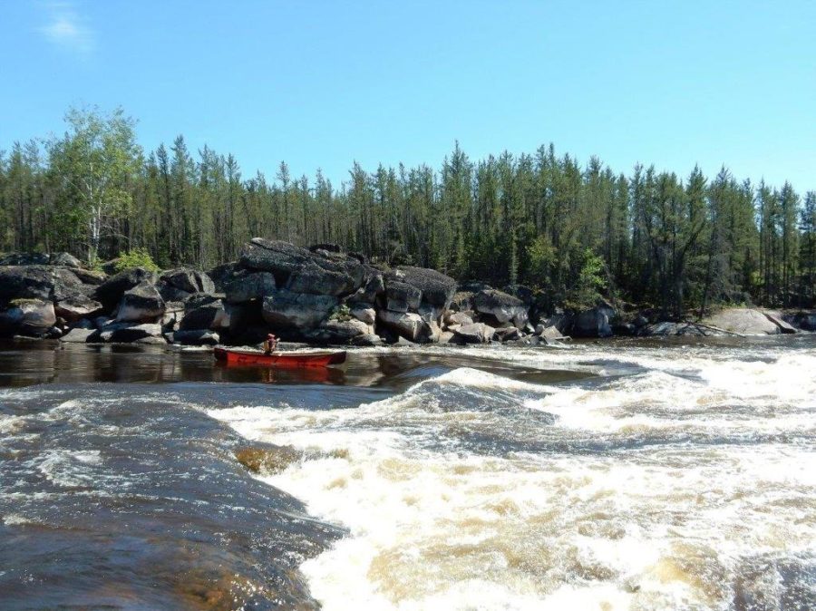 River with rapids and boreal forest