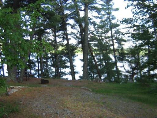 Waterfront campsite with a thin row of conifer between site and shoreline