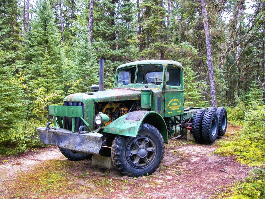 Old green truck parked on display in the Wakami Lake forest