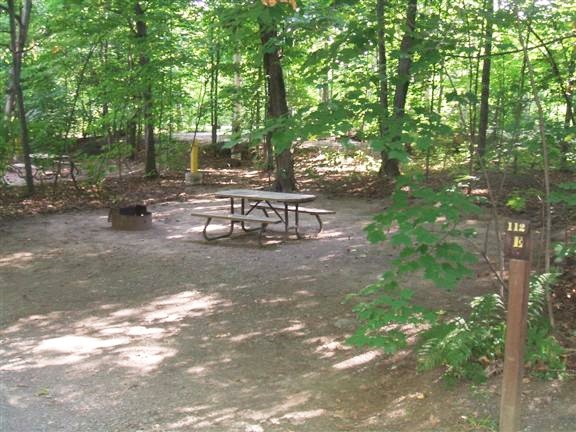 Shaded campsite with fire ring and picnic table