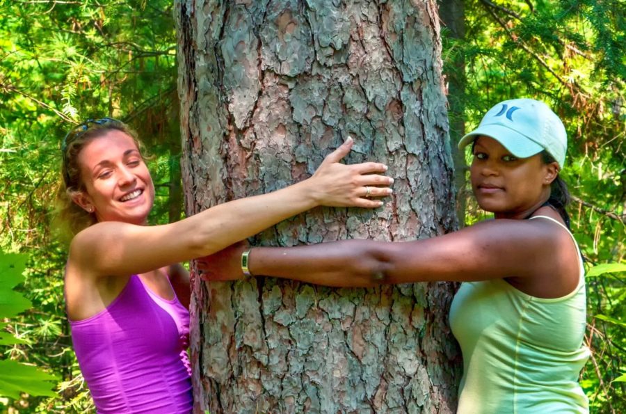 Deux jeunes filles serrant le tronc d’un pin rouge 