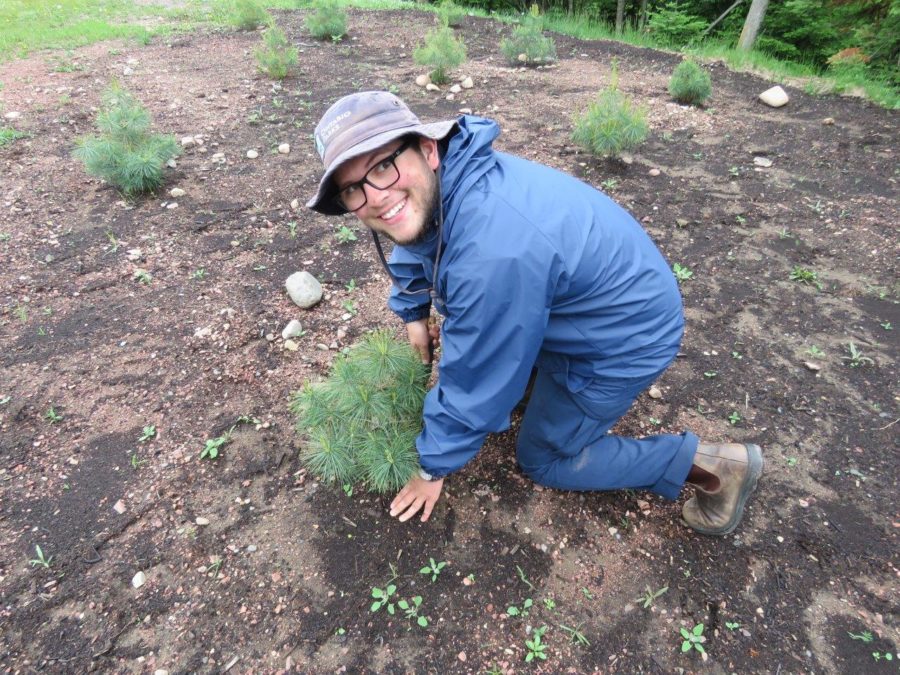 Young guy in blue jacket, planting a white pine seedling