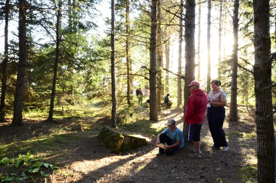 Des personnes observant des vestiges dans la forêt, avec le soleil qui perce à travers les arbres.