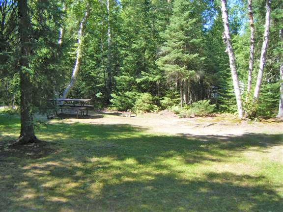 Pittoresque emplacement de camping herbeux et boisé avec table de piquenique.