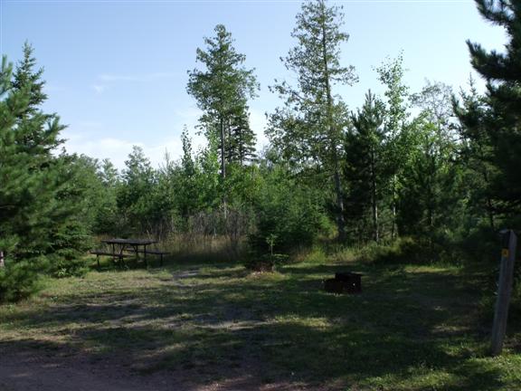 Emplacement de camping herbeux entouré d’une végétation basse et de quelques arbres. 