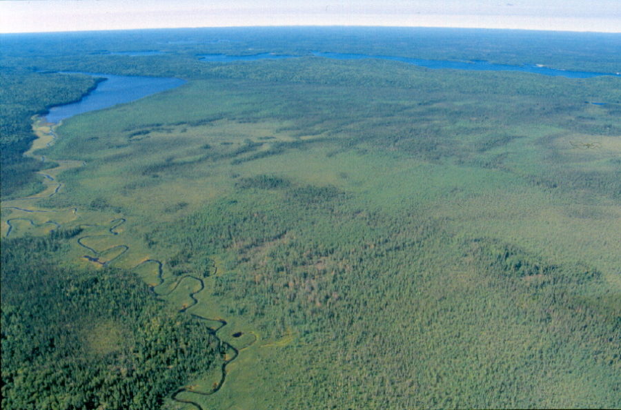 Vue aérienne du parc provincial Wakami Lake où vous pouvez voir beaucoup de verdure, une rivière qui serpente et des lacs bleus.