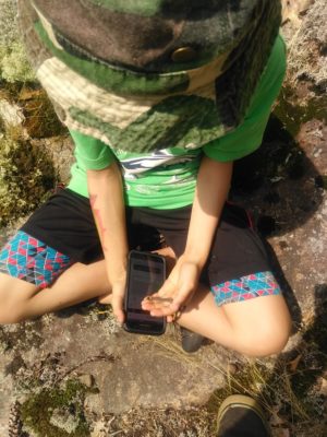 Child uses iNaturalist to identify a bug