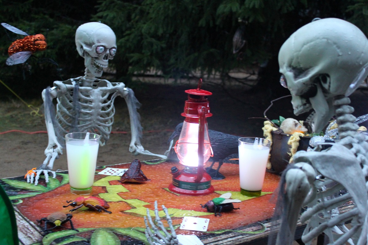 Des squelettes assis à une table de pique-nique avec une lanterne d’Halloween