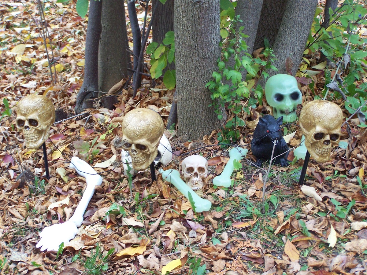 Halloween decorations skulls and bones in the leaves.