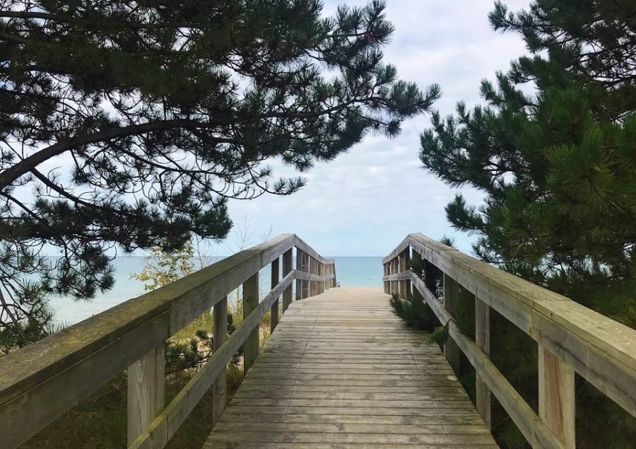 Boardwalk down to a beach surrounded by pines