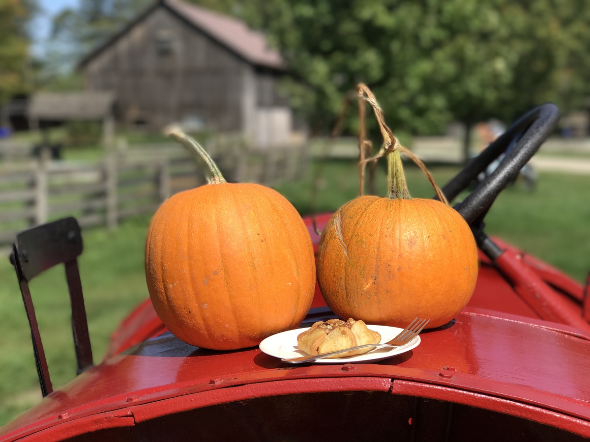 Two pumpkins on a piece of red farm equipment with a pastry 