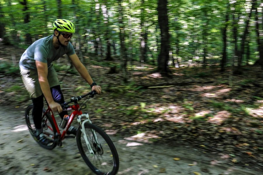 Guy on a bike, riding through the forest