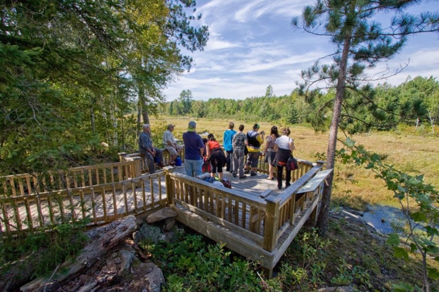 A group of people stand on a view platform looking out at the wetland under blue skies