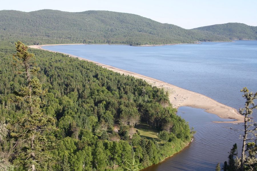 Aerial Photo of shoreline with forest and lake