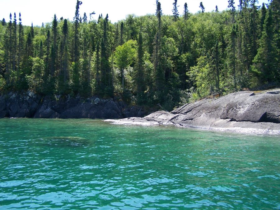 Blue green water with conifer shoreline