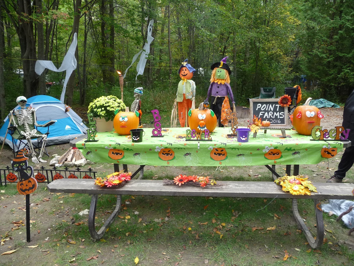 Picnic table set up with halloween decorations