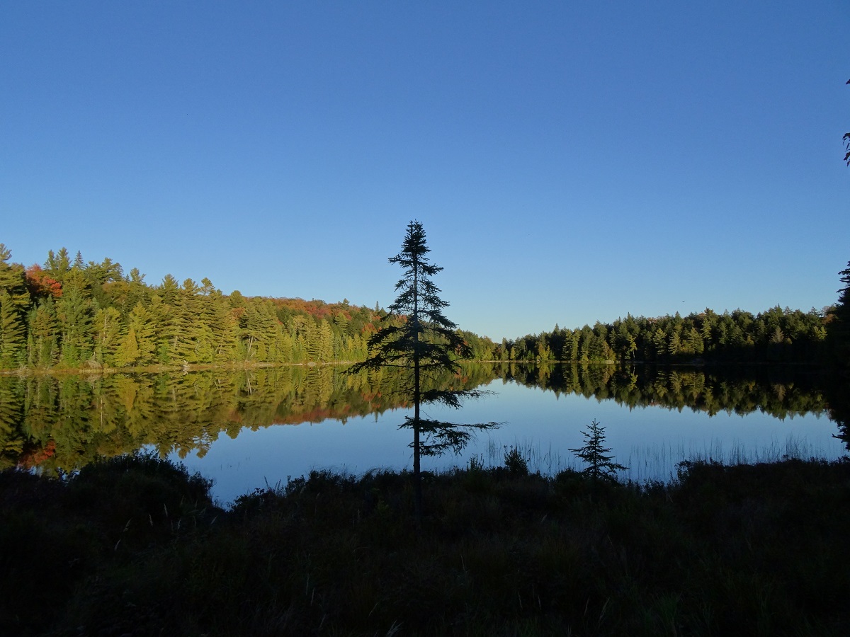 Lake on a clear day with shadows in the foreground and forest in the background