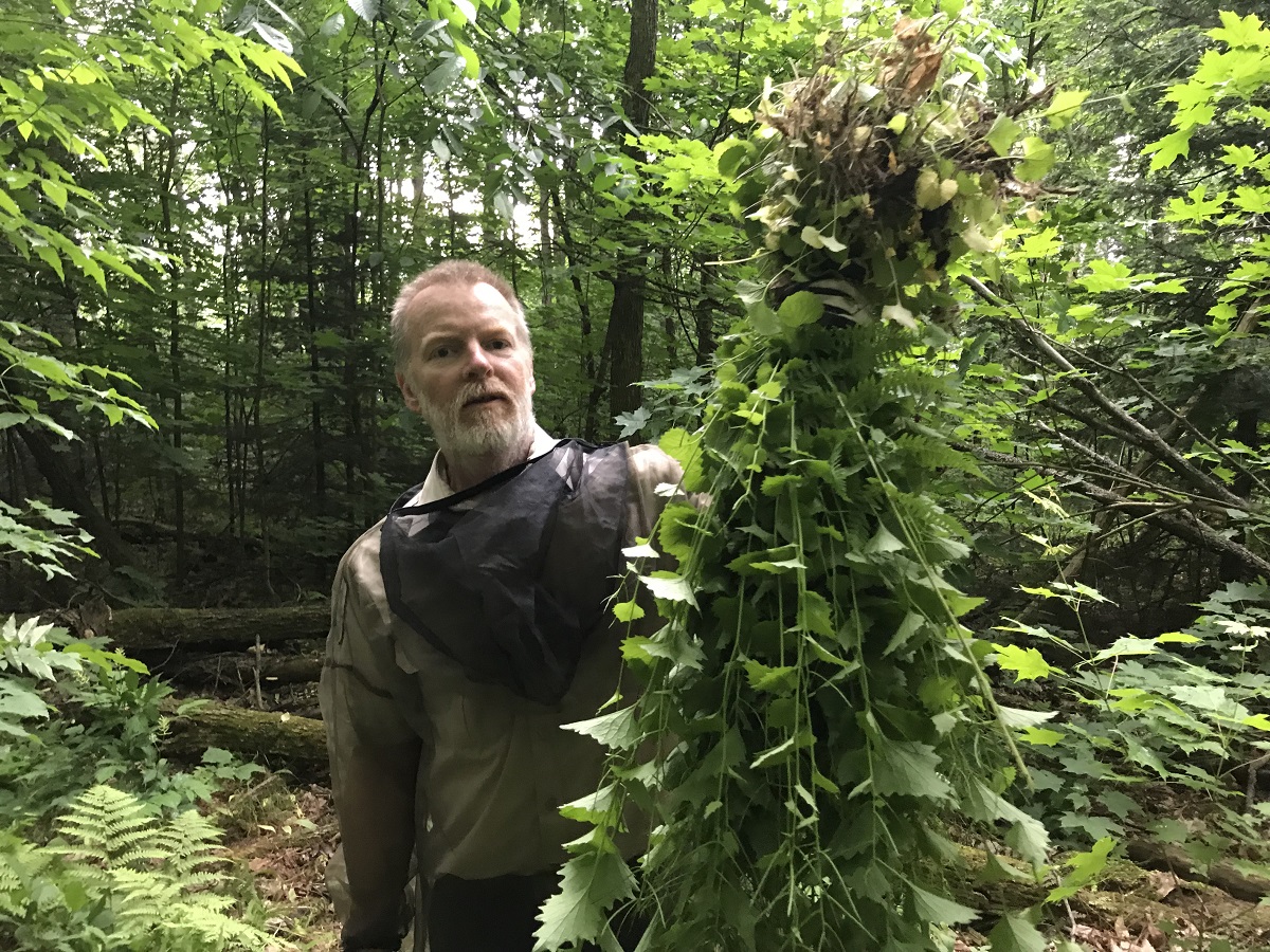 Guy in the forest, holding up garlic mustard plant with multiple stalks