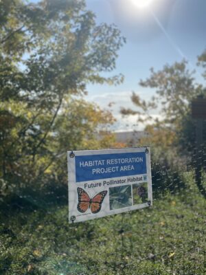 sign that reads: Habitat Restoration Project Area -- Pollinators