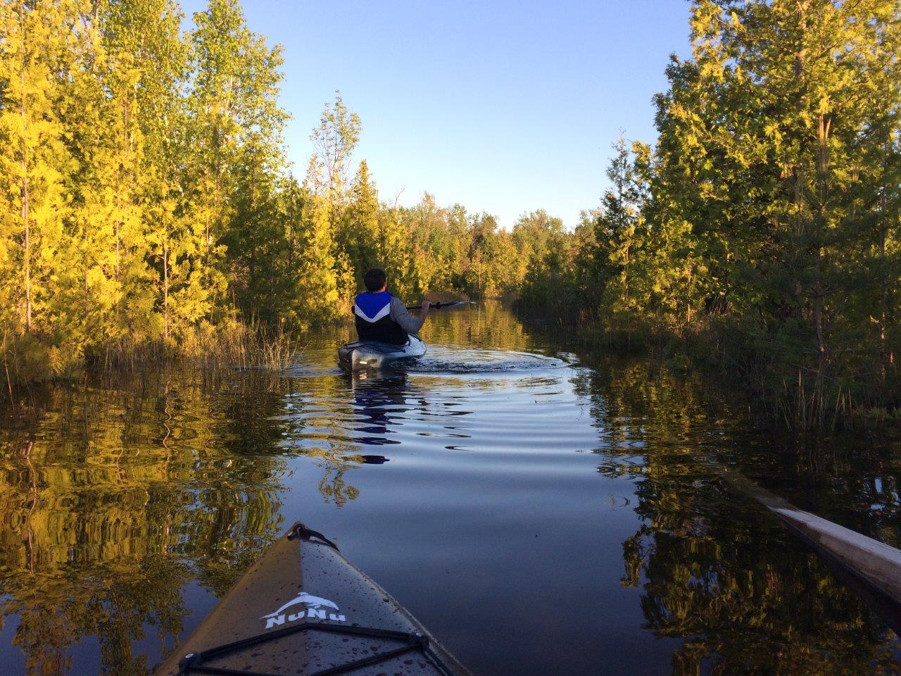 Man kayaking on water near trees
