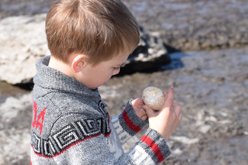 Child looking at an egg.