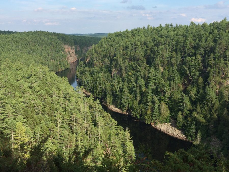 View of Barron Canyon and forest landscape in Algonquin Provincial Park.