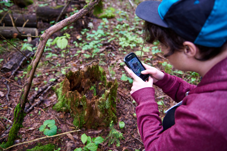Camper taking a photo of a mossy stump on a smart phone.