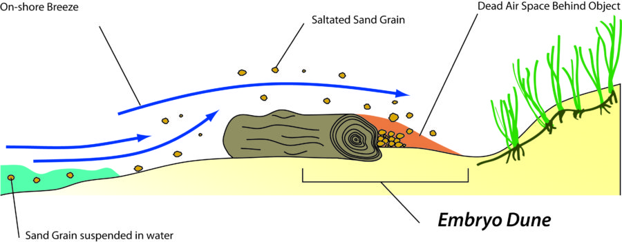Illustration du sable en suspension.