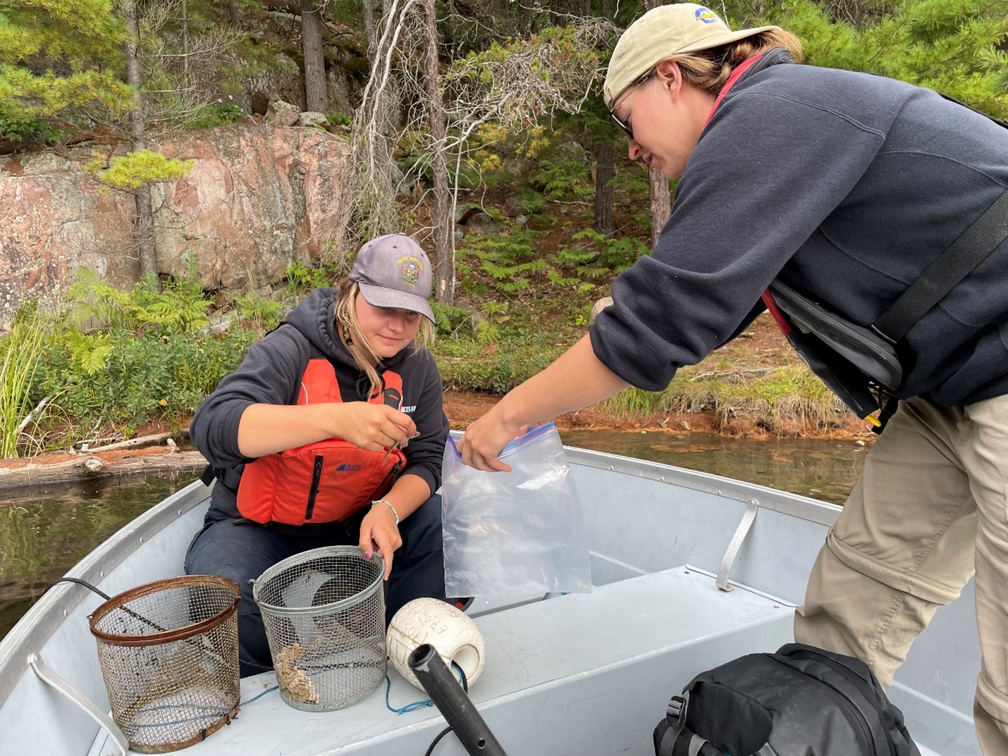 Two researchers in a boat. One is kneeling, the other is standing and leaning towards their colleague with an open plastic bag. The kneeling researcher is holding a specimen caught in a research trap.