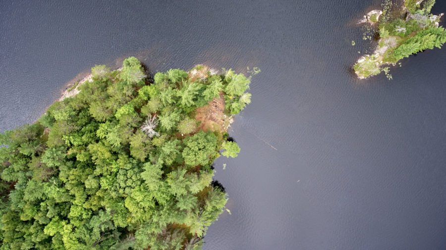 Aerial photo of forest canopy in Queen Elizabeth II Wildlands Provincial Park.