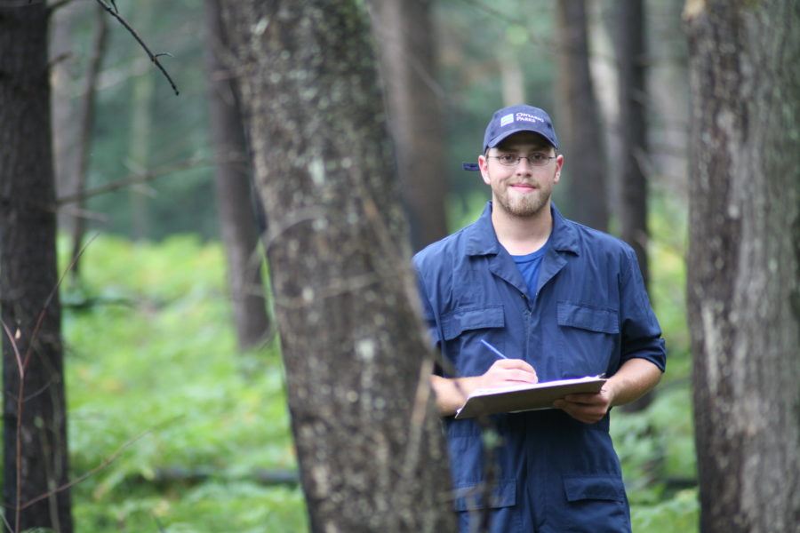Park staff standing in forest taking notes on a clipboard.