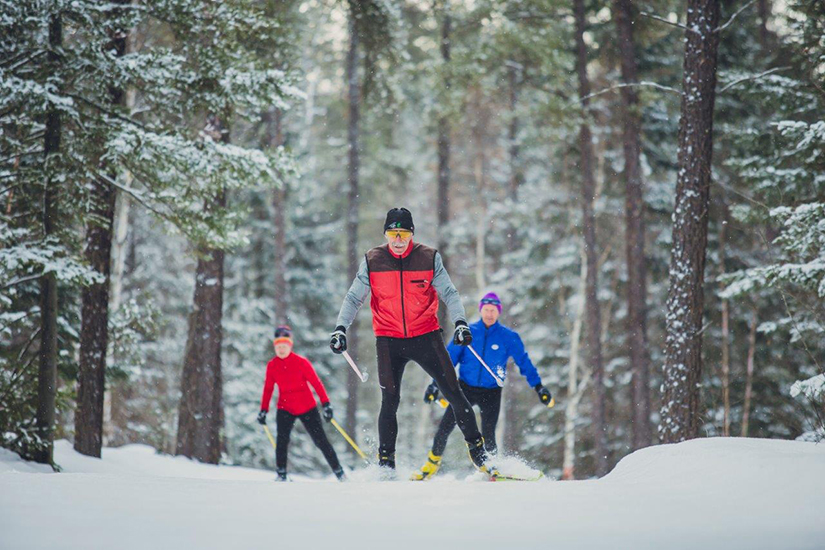 Three cross-country skiers on forested trail