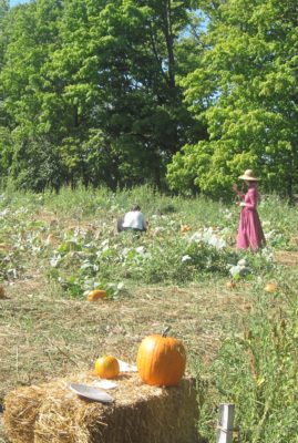 Staff member tending to the pumpkin patch