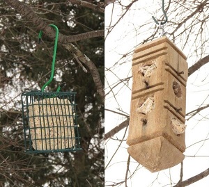 Assorted woodpecker suet feeders