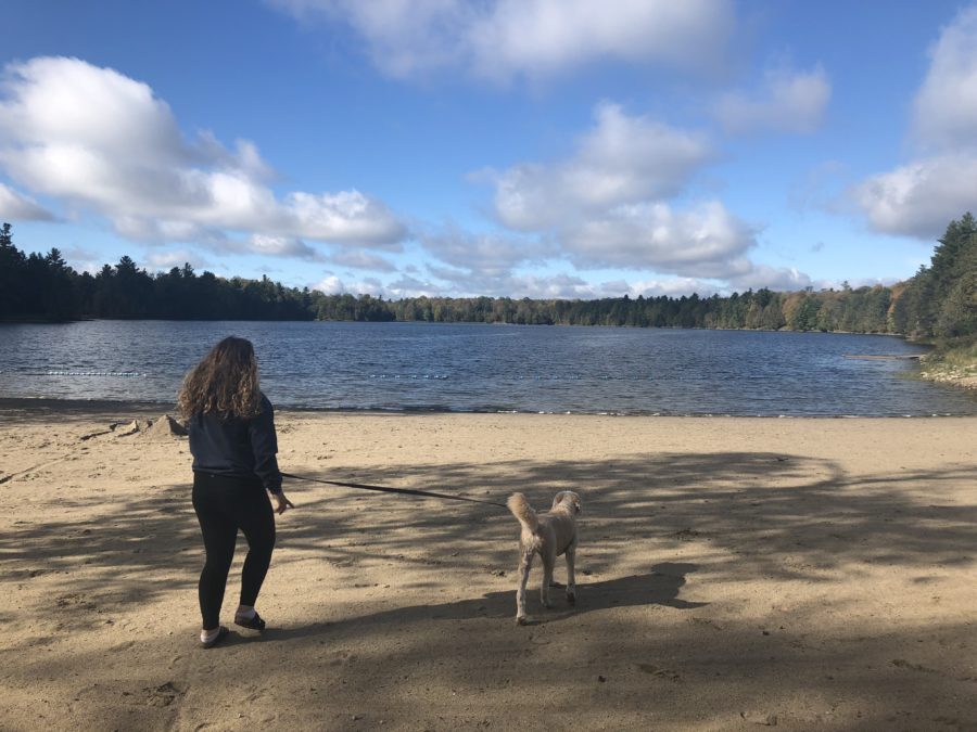 Une femme se promenant avec son chien sur la plage 