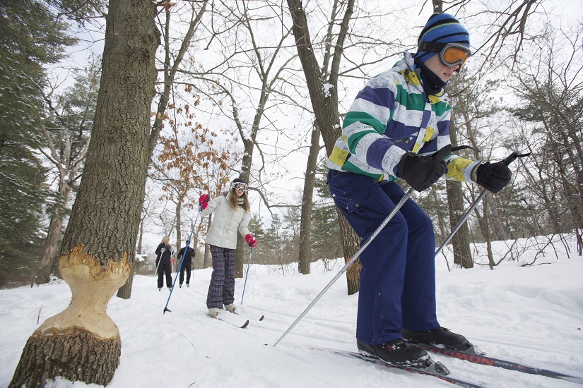 Enfants faisant du ski de fond sur un sentier.