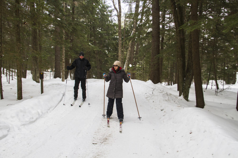 Deux personnes font du ski de fond dans la forêt.