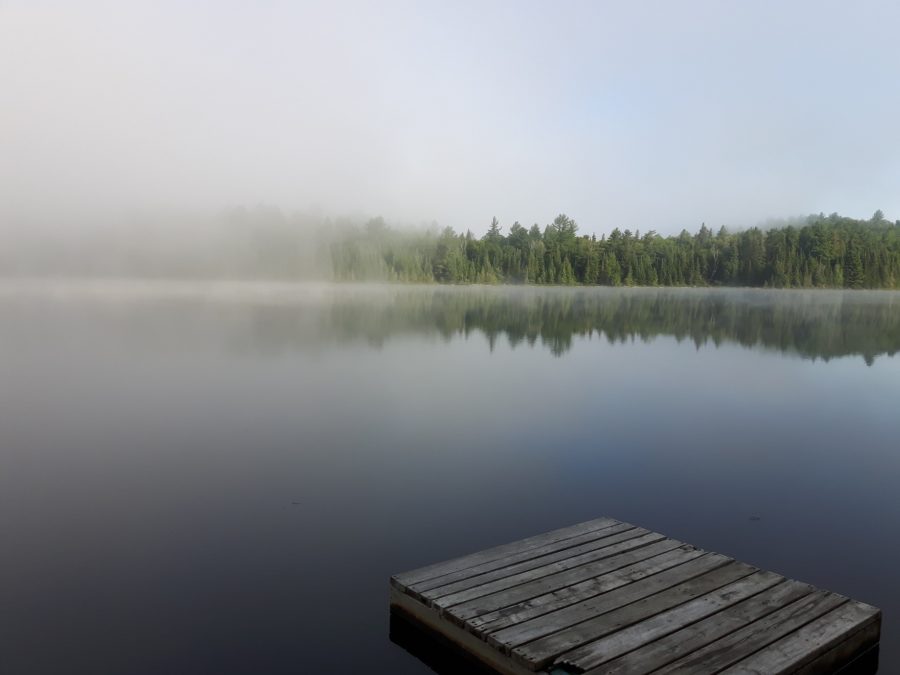 dock on misty lake