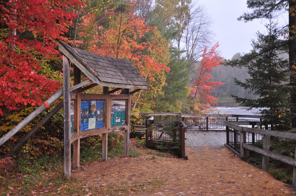 interpretive signs at lookout surrounded by fall colours