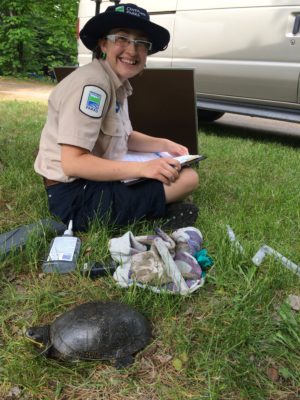 une employée de Parcs Ontario tenant une tortue