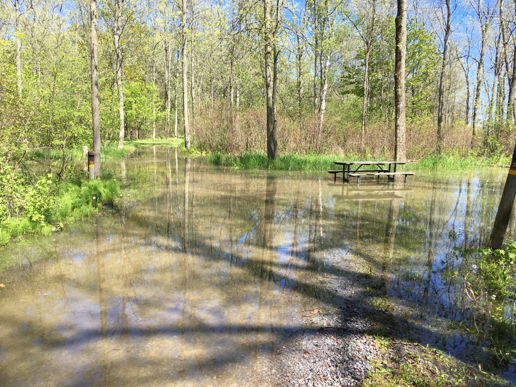 flooded campsite at Presqu'ile