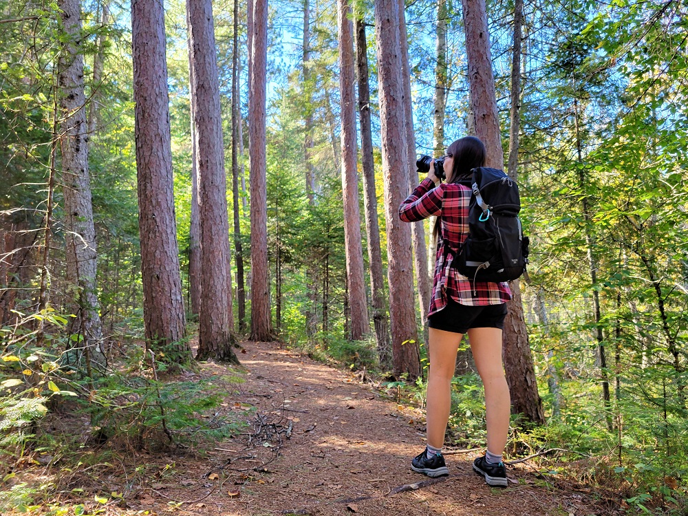 person photographing forest