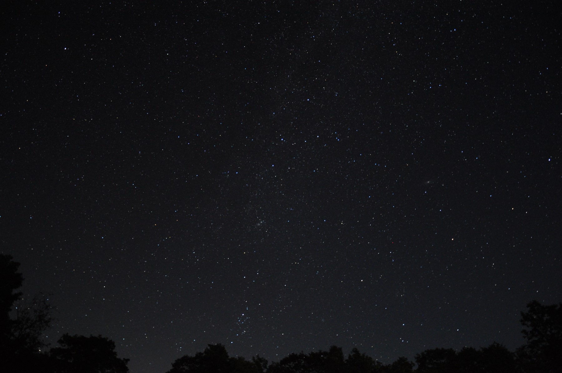 Un ciel sombre rempli d'étoiles. Il y a une petite limite forestière au bas de l'image.