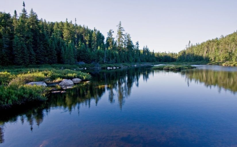 View at Echo Pond depicting tall trees, blue waters, and rugged shoreline.