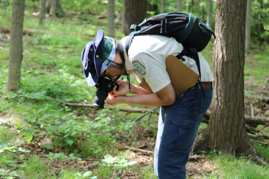 Un membre du personnel utilise un appareil photo reflex mono-objectif numérique pour prendre des photos des espèces dans le parc.